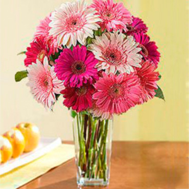 depto rosados sueos envios floreria